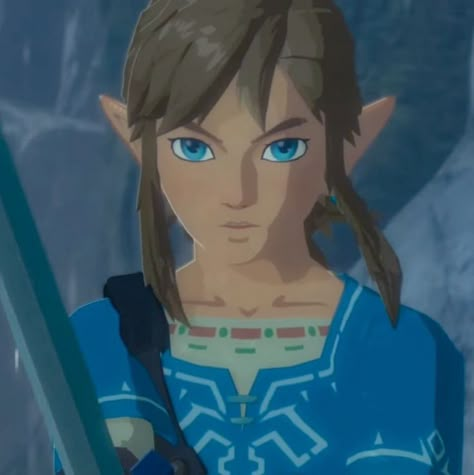 Link Zelda Reference, Link Pfp Zelda Botw, Link Pfp Breath Of The Wild, Loz Breath Of The Wild, The Legend Of Zelda Characters, Link Legend Of Zelda Breath Of The Wild, The Legend Of Zelda Pfp, Link Profile Picture, Botw Link Pfp