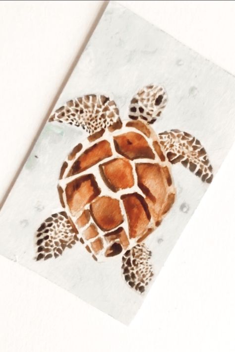 Waterpaint Ideas, Turtle Watercolor Painting, Watercolor Turtle, Turtle Watercolor, Boat Drawing, Turtle Drawing, Flamingo Painting, Gcse Art Sketchbook, Bio Art