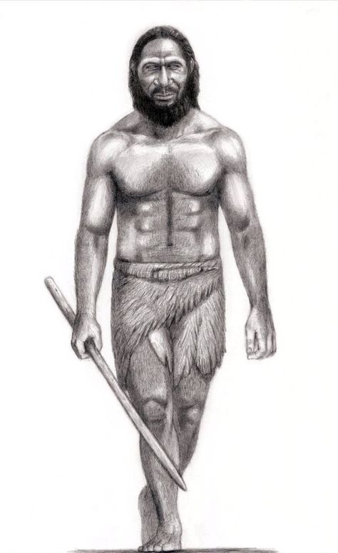 Chuchunya- Siberian cryptid: a 6ft tall hominid, covered in dark hair. It wears animal pelts as clothes and is well built white arms. They sometimes consume human flesh. No physical evidence exists for it. Some speculate it is a relic Neanderthal, while other say it is a surviving Homo gardarensis Early Earth, Homo Heidelbergensis, Creepy Story, Homo Habilis, Early Man, Mysterious Creatures, Siberia Russia, Early Humans, Prehistoric Art