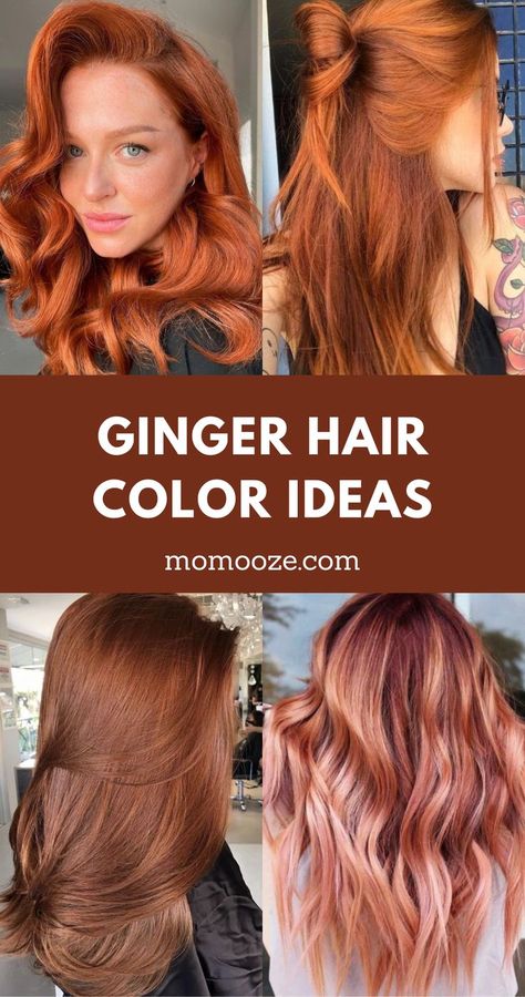 Hair Color Ideas For Ginger Hair, Hair Colour Ideas For Redheads, Hair Color For Natural Red Heads, Hair Inspo Color Ginger, Ion Ginger Hair Color, Fall Hair Color Ideas For Redheads, Different Types Of Ginger Hair, Natural Redhead Haircuts, Dark Ginger Hair Blue Eyes