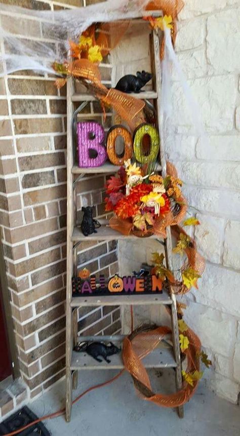 My Halloween ladder! Got this idea from a fellow pinner! Thanks Pinterest! Halloween Ladder Ideas, Halloween Ladder Decorations, Garden Ladder Ideas, Garden Ladder, Halloween Garden, Halloween Blanket, Blanket Ladder, Fall Halloween Decor, Fall Porch