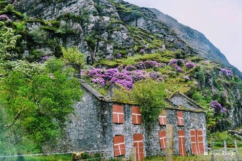 abandoned Cottage Gap of Dunloe Ireland, https://www.werenotinkansasanymore.com/the-gap-of-dunloe/ Gap Of Dunloe Ireland, Abandoned Cottage, Gap Of Dunloe, Ross Castle, Ireland Itinerary, County Kerry, Horse And Carriage, Stone Bridge, Plan A Trip