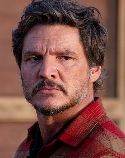 Strange Way Of Life, Don Pedro, Poses References, Famous Men, The Boy Is Mine, Pedro Pascal, Brown Aesthetic, Man Crush, A Horse