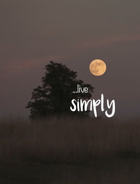 One Word Quotes Simple, One Word Caption, Just Live, One Word Quotes, Life Quotes Pictures, Simple Quotes, Finding Happiness, Live Simply, Real Life Quotes