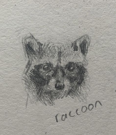 Raccoon drawing. Drawing ideas easy. Drawing ideas. Drawing base. Drawing sketches. Drawing ideas creative. Drawing reference. Drawing tutorial. Sketch book. Sketch ideas. Sketches. Sketchbook art inspiration. Sketchbook ideas. Sketch book ideas aesthetic. Sketches pencil. Cute animals. Nature. Wildlife. #nature #wildlife #wildlifeartist #cute #cutebabyanimals #sketchbook #sketching #drawingideas #drawingforbeginners #raccoon #raccoonsofinstagram raccoon drawing. Baby raccoon sketch. Whole Page Drawings, Raccoon Sketch, Raccoon Drawing, Drawing Ideas Creative, Drawing Baby, Small Drawing, Baby Raccoon, Drawings Ideas, Drawing Drawing