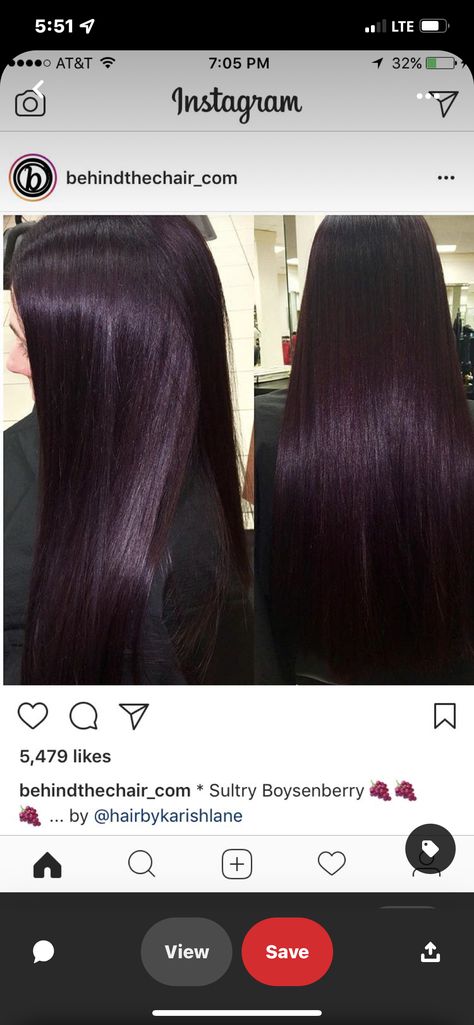 4vv Hair Color, Black Plum Hair Color, Lob 2023, Black Cherry Hair Color Dark, Blackberry Hair Color Dark, Eggplant Hair Color, Plum Black Hair, Violet Black Hair, Eggplant Colored Hair