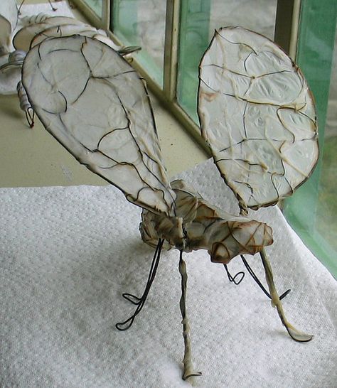 Wet Gut On Bug Sculpture by perpetualplum, via Flickr Insect Sculpture, 3d Art Projects, Sculpture Lessons, Port Townsend, Viborg, Jr Art, Bug Art, Year 7, Encaustic Art