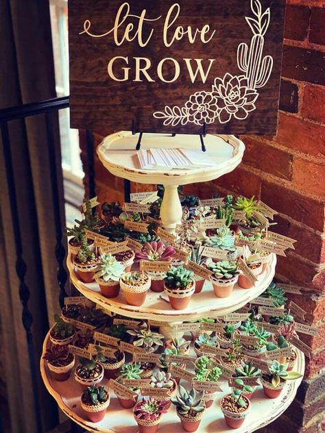 Wedding In November, Tator Tots, Succulent Wedding Favors, Let Love Grow, One Home, Succulent Wedding, Plant Wall, Tiered Cake Stand, In November