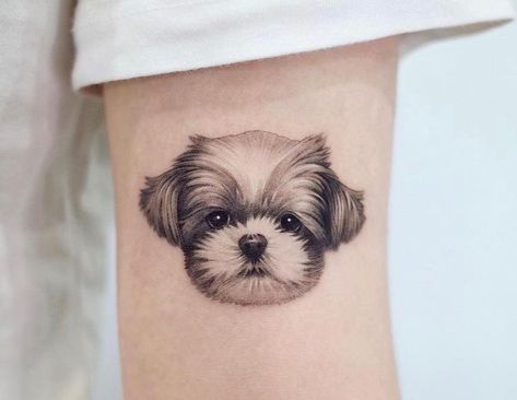 Shih Tzu Tattoos, Shih Tzu Tattoo Minimalist, Shitzu Tattoos, Shihtzu Tattoos, Shih Tzu Tattoo, Puppy Tattoo, Pet Tattoos, Creative Tattoo Ideas, Perro Shih Tzu