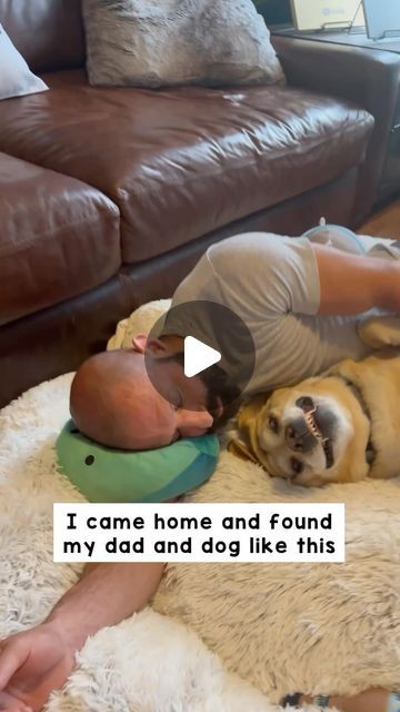 Magnus The Therapy Dog on Instagram: "When you plan on just petting your dog but end up passing out on the floor in your oversized dog bed!   #dogdad #labrador #dog #dogbed #naptime #dogsofinstagram #dogsoffacebook" Oversized Dog Bed, Terra Cotta Pot Crafts Diy, Terra Cotta Pot Crafts, Therapy Dog, Kaley Cuoco Short Hair, Latest Short Hairstyles, Short Choppy Hair, Labrador Dog, Therapy Dogs