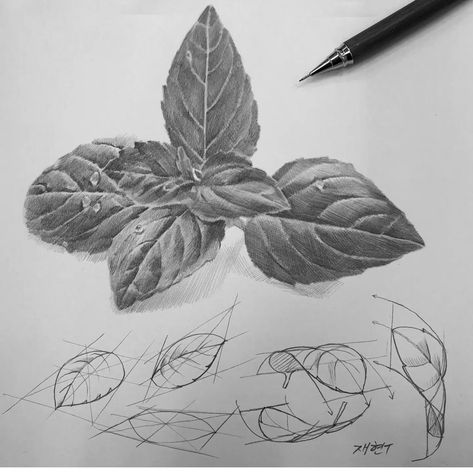 Pencil Sketches Landscape, Jenny Saville, Basic Sketching, Drawing Tree, Structural Drawing, Perspective Drawing Lessons, Nature Art Drawings, Art Basics, Art Drawings Sketches Pencil