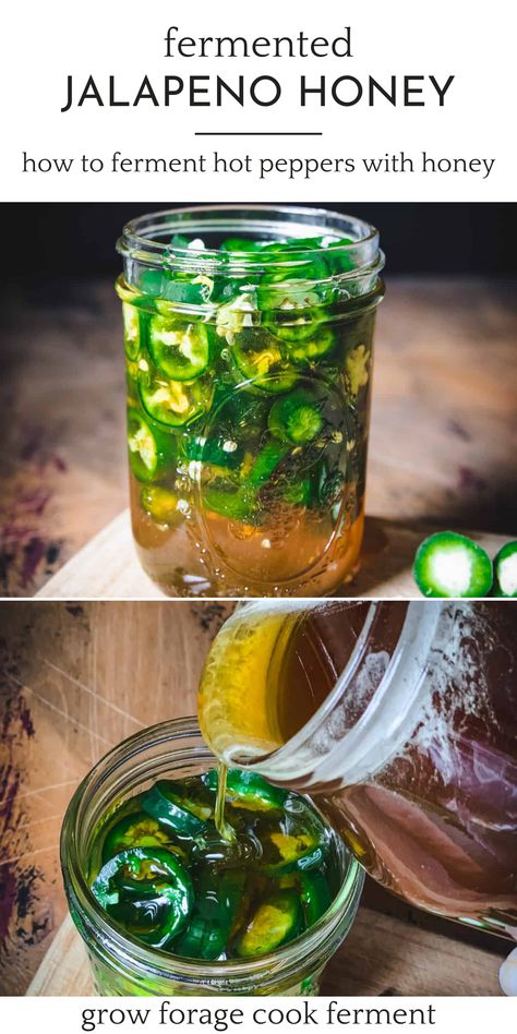 Jalapeno Benefits Health, Honey Fermented Jalapenos, Fermented Jalapeño Honey, Fresh Honey Recipes, Fermented Pepper Sauce, Fermented Hot Peppers, Fermented Honey Lemon, Ways To Use Jalapenos, Honey Infused Recipes