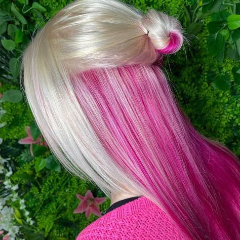 Peekaboo Hair Ideas, Peak A Boo Hair, Purple Peekaboo Hair, Pink Peekaboo Hair, Blonde Peekaboo Highlights, New Hair Color Ideas, Hair Colour Styles, Peekaboo Hair Colors, Pink Blonde Hair