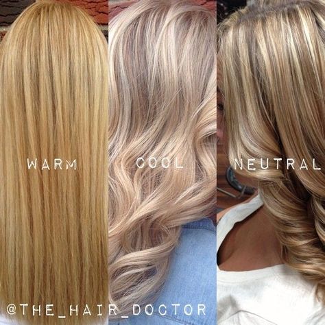 Need help deciphering exactly what the difference is between warm, cool and neutral blondes? Try putting together a compilation of your own work to show your clients the difference. Here's a visual guide to show you the differences. Different Color Blondes, Tmavý Blond, Neutral Blonde, Cool Blonde, Hair Color And Cut, Hair Coloring, Hair Envy, Great Hair, Grey Hair