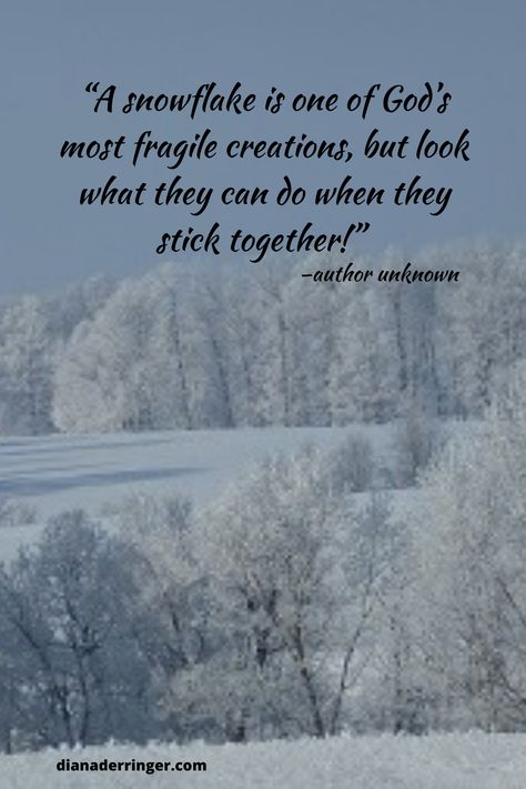 Snowflake Meaning, Snowflake Quote, Peace Photography, Snow Quotes, Storm Quotes, Photography Motivation, Winter Quotes, Spiritual Truth, Words Of Hope