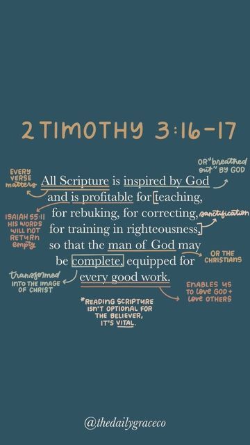 Bible Verse About Authority, Bible Layout, Biblical Wife, Scripture Notes, Imperfect People, Biblical Counseling, Jesus Reigns, The Goodness Of God, New Testament Bible