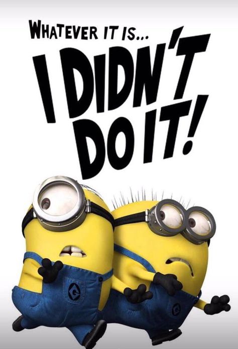 Minion Love Quotes, Ford Memes, Memes Funny Hilarious, Minions Images, Minion Memes, Sarcastic Birthday, Minions Humor, Memes Love, Minion Pictures