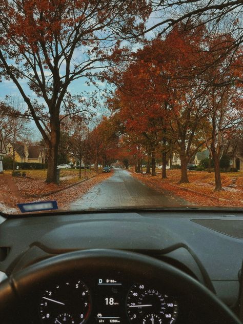 Crisp Fall Morning Aesthetic, Fall Mornings Aesthetic, Fall Aesthetic Vibes, Gilmore Girls Fall Aesthetic, Vintage Fall Aesthetic, Autumn Drive, Gilmore Girls Fall, Fall Homescreen, Gilmore Girls Aesthetic