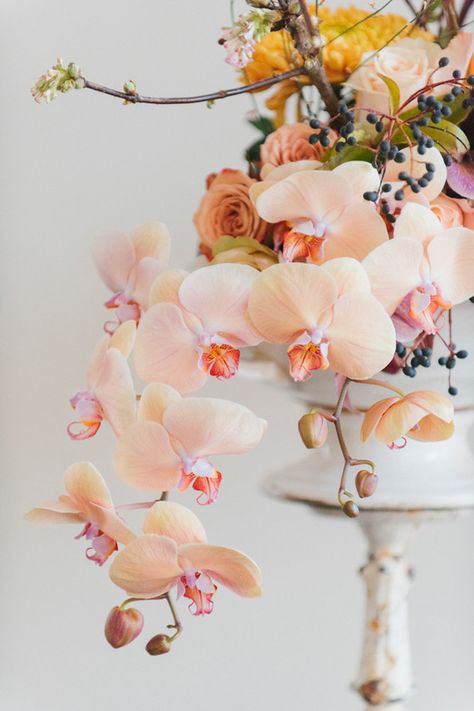 Organic wedding florals, orchid is the new rose this year, gorgeous wedding flowers by @Westwo Unique Flower Arrangements, Unique Wedding Flowers, Orchid Wedding, Artificial Orchids, Organic Wedding, Orchid Care, Flower Centerpieces Wedding, Beautiful Orchids, Unique Flowers