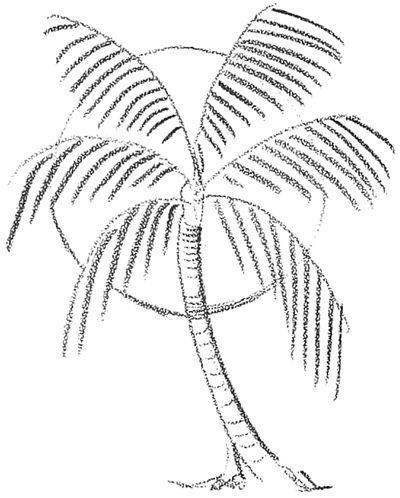 When I see a palm tree, I think of vacations, beaches, and relaxing. Do you want to learn how to draw Palm Trees? They are probably the easiest type of tree to draw. Find the easy step by step drawing instructions below and draw yourself a page full of palm trees along a glowing sun. Palm Tree Sketch, Trees Drawing Tutorial, Palm Tree Drawing, Sun Drawing, Palm Trees Painting, Tree Sketches, Wall Drawing, Step Drawing, Tree Drawing