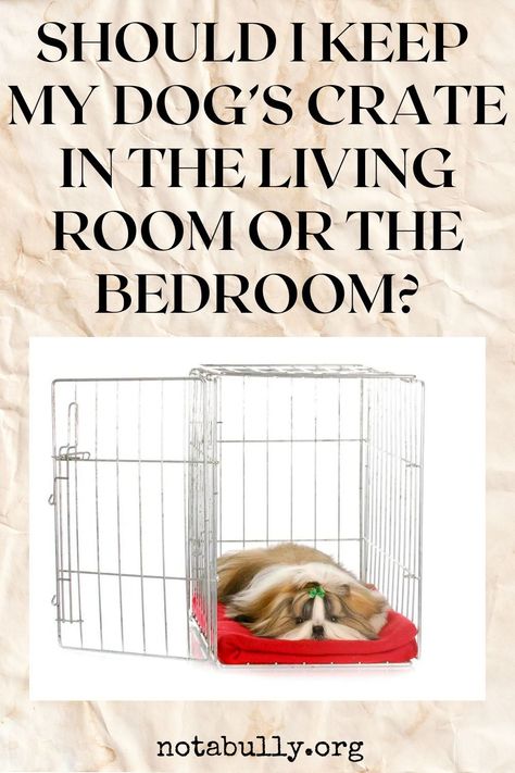 Wondering if you should place your dog's crate in the living room or the bedroom? Get the answer from from a dog training professional. Large Dog Crates In Living Room, Dog Crate Cleaning, Where To Put Dog Crate In House, Decorating Dog Crates, Living Room With Dog Crate, Dog Crates In Bedroom, Dog Crate In Bedroom Ideas, Dog Crate In Living Room, Bedroom With Dog Crate