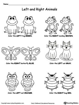 Help your child practice recognizing left from right with "Left And Right Animals" printable worksheet. Your child will color the animal either on the left or on the right based on the instructions. Left And Right Worksheet Preschool, Teaching Left And Right, Left And Right Worksheets, Animals Worksheet, Math Kindergarten, Animals Printable, Animal Worksheets, Summer Items, Worksheets Preschool