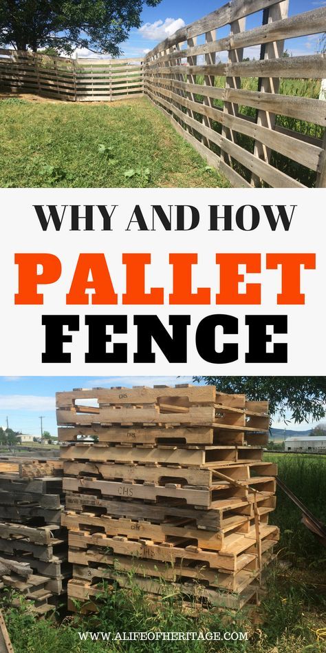 Livestock Pictures, Pallet Fence Diy, Wood Pallet Fence, Diy Homesteading, Jardim Diy, Pallet Fence, Diy Fence, Animal Shelters, Pallet Garden