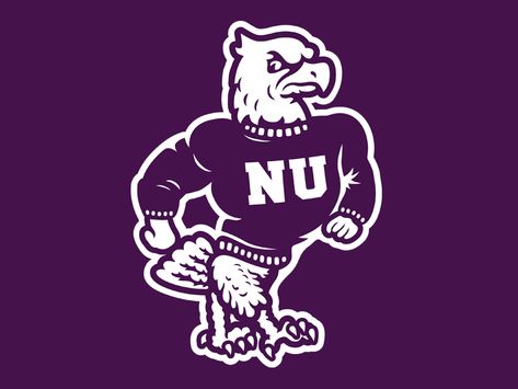 by Studio Lucha #Ad Graffiti Elements, Niagara University, Vintage Mascot, Vintage Logos, Eagle Design, College Logo, Sports Logos, Vintage School, Mascot Logo