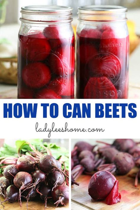 Learn how to can beets at home so you can use them year-round and for long term storage. Canning beets is simple and doesn't take too long. Beets need to be pressure canned whole or sliced. I'll show you how to easily can beets in this picture tutorial. Pressure Canning Beets, How To Store Beets, Canning Veggies, Canned Pickled Beets, Canning Beets, Preserving Vegetables, Freezing Vegetables, Easy Canning, Pressure Canning Recipes