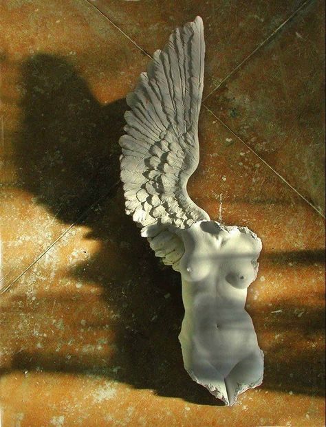 Taustakuva Iphone Disney, Wings Of Desire, Visuell Identitet, Classic Sculpture, Greek Statues, Sculpture Art Clay, Angel Statue, Greek Sculpture, Kunst Inspiration