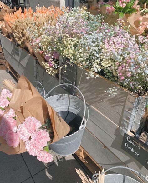 #summer #flowers #stockholm #aesthetic Stockholm Aesthetic Pictures, Scandavian Aesthetic, Stockholm Summer Aesthetic, Stockholm Moodboard, Stockholm Pictures, Scandinavian Mood Board, Stockholm Lifestyle, Stockholm Summer, Summer Stockholm