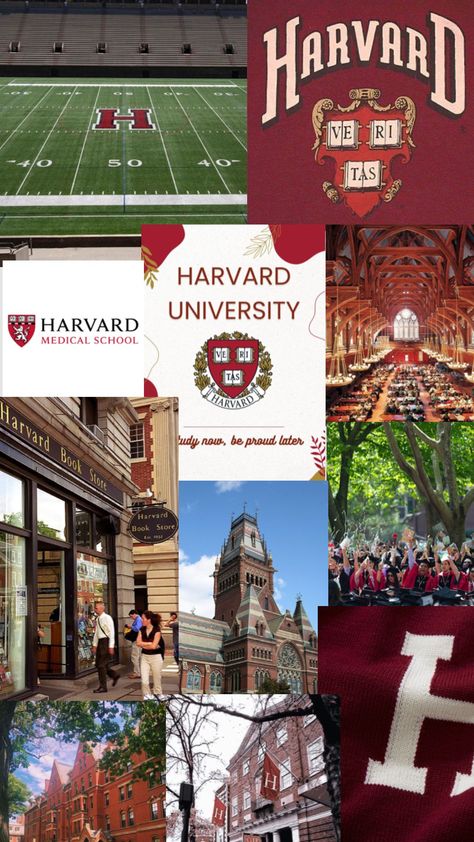 Harvard Graduation, Harvard Campus, University Inspiration, Campus Aesthetic, Law School Inspiration, Medical School Motivation, Dream College, Uni Life, Harvard Medical School