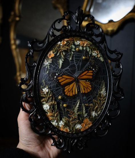 Karina Mills (Bewitched Oddities) on Instagram: "The new website listings are live including this frame I put together today! Similar to something I’ve made in the past, but with more florals this time. Monarch butterfly, real preserved orb weaver web, and dried florals in a black vintage frame." Plant Pressing, Butterfly Taxidermy Art, Black Vintage Frame, Entomology Decor, Gothic Whimsical, Bug Taxidermy, Butterfly Real, Butterfly Display, Oddities Collection