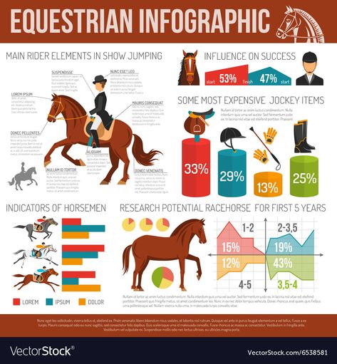 Sport Infographic, Equine Science, Dog Infographic, Horse Care Tips, Horse Info, Infographic Poster, Flat Vector Illustration, Animal Science, Horse Logo