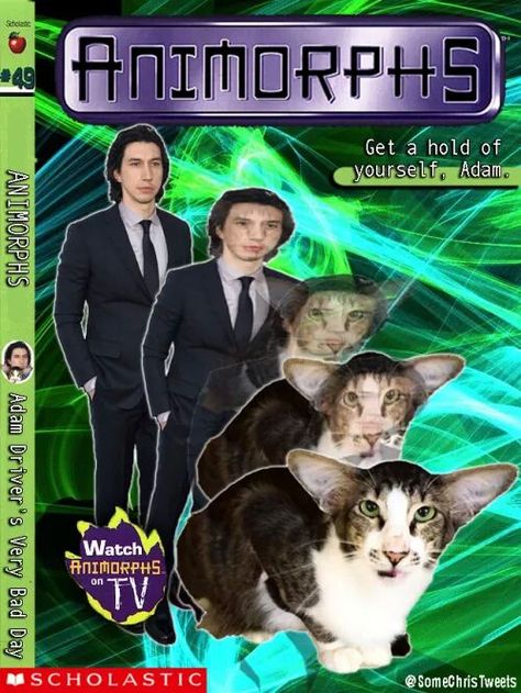 Catamorph Adam Driver Cat, Funny Animal Images, Nerd Humor, Weird Images, Adam Driver, Kylo Ren, Funny Animal Pictures, Satire, Videos Funny