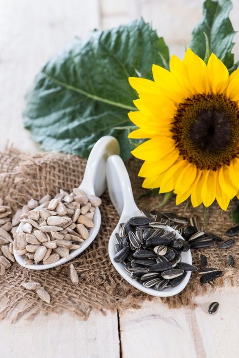 Sunflower seeds Harvest Pictures, Seed Benefits, Sunflower Designs, Seed Salad, Amazing Food Decoration, Olive Relish, Towards The Sun, Romaine Lettuce Salad, Dinner Chicken