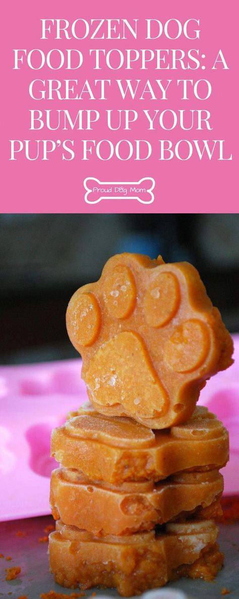 Frozen Dog Food Toppers: A Great Way To Bump Up Your Pup’s Food Bowl | Pumpkin Dog Treats | Homemade Dog Treats | Frozen Dog Treats #dogdiy Pumpkin Dog Treats Homemade, Dog Treats Frozen, Dog Treats Homemade Pumpkin, Dog Food Toppers, Make Dog Food, Diy Dog Food, Frozen Dog Treats, Dog Biscuit Recipes, Food For Digestion