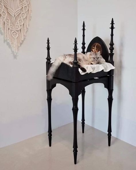 Goth Houses, Gothic Cat, Gothic Furniture, Dark Home Decor, Goth Home, Goth Home Decor, Dark Home, Goth Decor, Cat Tower