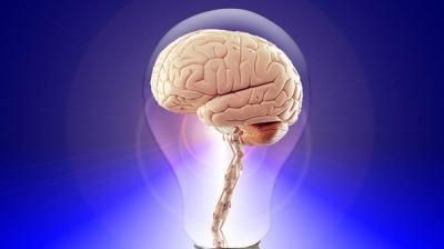 Researchers know that leptin, a hormone produced by fat cells, is important in the control of body weight both in humans and mice. (Photo: ANI) Iq Games, Increase Memory, Psychological Science, Scientific Journal, Endocannabinoid System, High Iq, Medical Journals, Mental Training, Brain Power