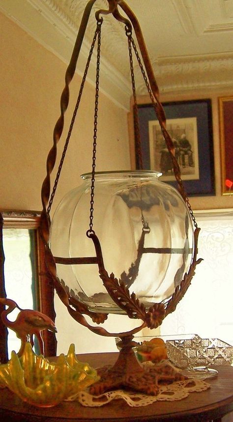 Antique Fish Tank, Vintage Fish Bowl, Vintage Fish Tank, Antique Aquarium, Antique Bowl, Amazing Aquariums, Fish Bowls, Bowl Stand, Fish Supplies