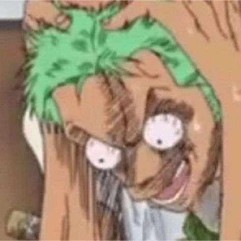 MEMES ENGRAÇADOS 3 Dekorasi Halloween, رورونوا زورو, One Piece Photos, One Piece Meme, Nami One Piece, One Peice Anime, One Piece Funny, Zoro One Piece, Memes Anime