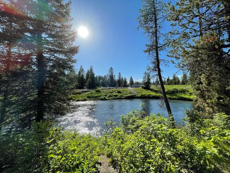 5 Favorite Hikes in Island Park Idaho Greater Area — Visit Island Park Idaho Island Park Idaho, West Yellowstone, Bear Spray, Island Park, Wild Forest, Old Faithful, Mystic Falls, Spring Nature, Nature Trail