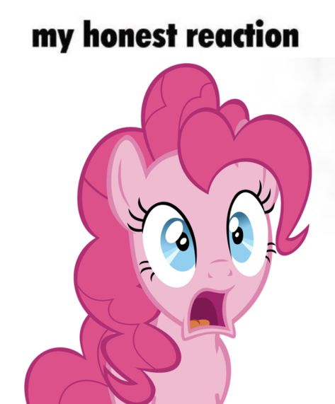 Pinkie Pie Reaction Pic, Mlp Reaction Images, My Little Pony Funny, My Honest Reaction, Mlp Funny, Mlp Memes, Honest Reaction, My Lil Pony, Pretty When You Cry