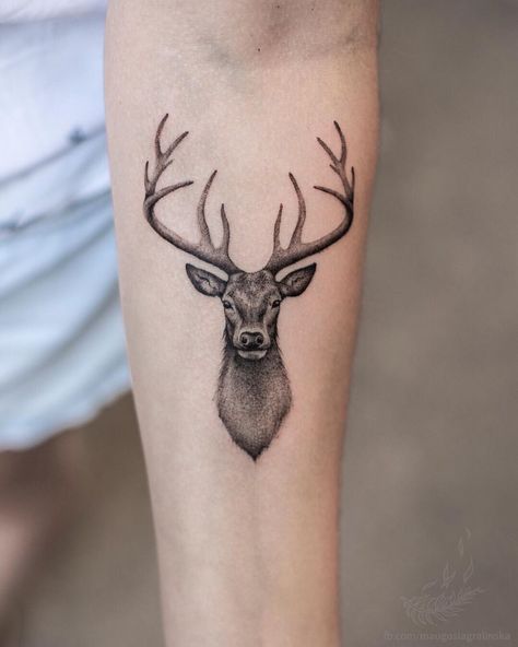 Stag Tattoo Design, Buck Tattoo, Deer Head Tattoo, Elk Tattoo, Antler Tattoo, Deer Tattoo Designs, Word Tattoo Ideas, Stag Tattoo, P Tattoo