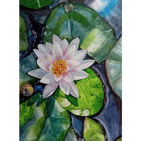 #art #realism #painting #watercolor #waterlily #leaves #realistic #artoftheday #pond #nature #beauty Waterlily Watercolor Painting, Realistic Watercolor Paintings Nature, Waterlily Painting, Pond Drawing, Bild Gold, Lilly Pond, Pond Painting, Lotus Painting, Watercolor Paintings Nature