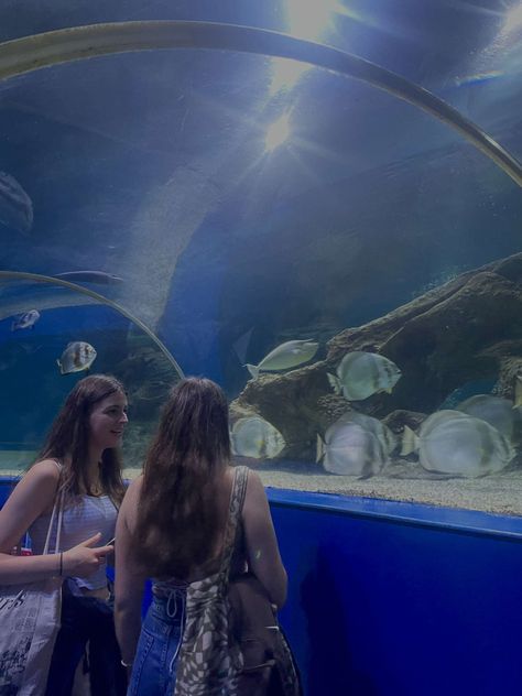 #aquarium #friends #dayout #aesthetic #rainyday Days Out, Rainy Days, Stylish Girl, Best Friend, Best Friends, Quick Saves