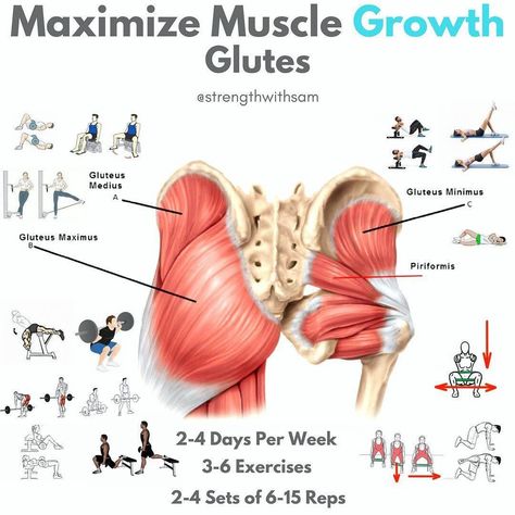 Flute Exercises, Glutes Exercises, Glute Growth, Stomach Exercises, Human Movement, Motivation Pictures, Gluteus Medius, Hip Mobility, Yoga Positions