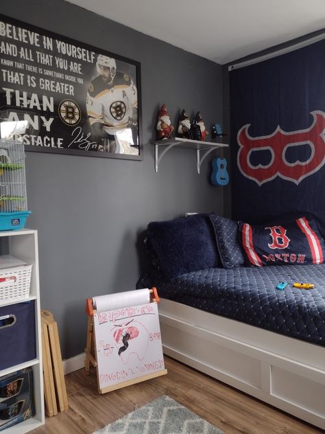 Boys Room Makeover, Cube Storage Organizer, Diamond Paint, Themed Room, Big Lots, Boston Bruins, Print Frame, Quilt Set, Cube Storage