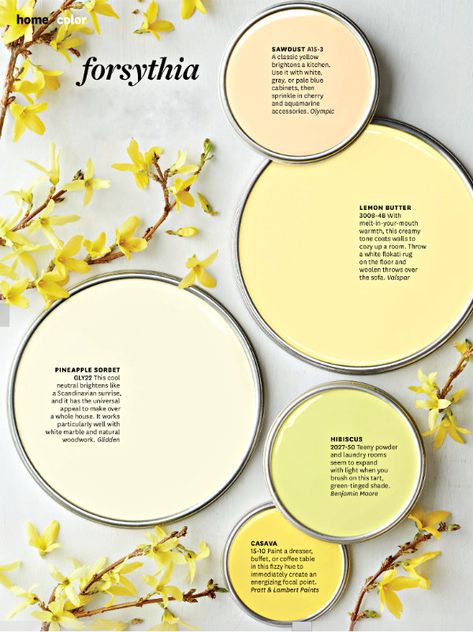 Pretty colors in soft creams and buttery yellows are the perfect match for freshening up your home for the upcoming spring months. #bhgcolor Yellow Paint Colors, Color Combinations Paint, Pintura Exterior, Yellow Paint, Yellow Kitchen, Yellow Walls, Interior Paint Colors, Yellow Painting, Paint Schemes