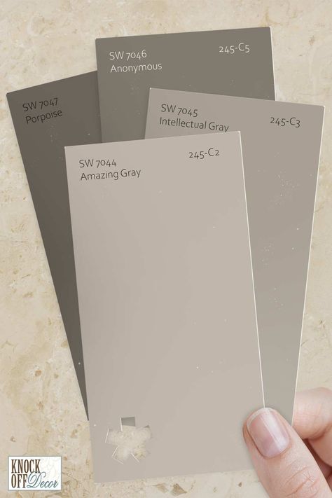 SW-paint-color-multi-monochromatic-amazing-gray-chips Sw Amazing Gray, Amazing Gray Paint, Sherwin Williams Amazing Gray, Greige Paint Color, Barn Colors, Amazing Gray, Warm Gray Paint, Flat Color Palette, Home Paint Color